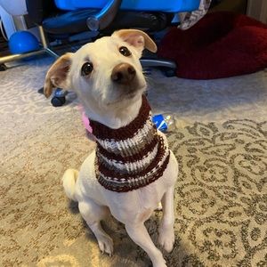 Meet your Posher, Sam